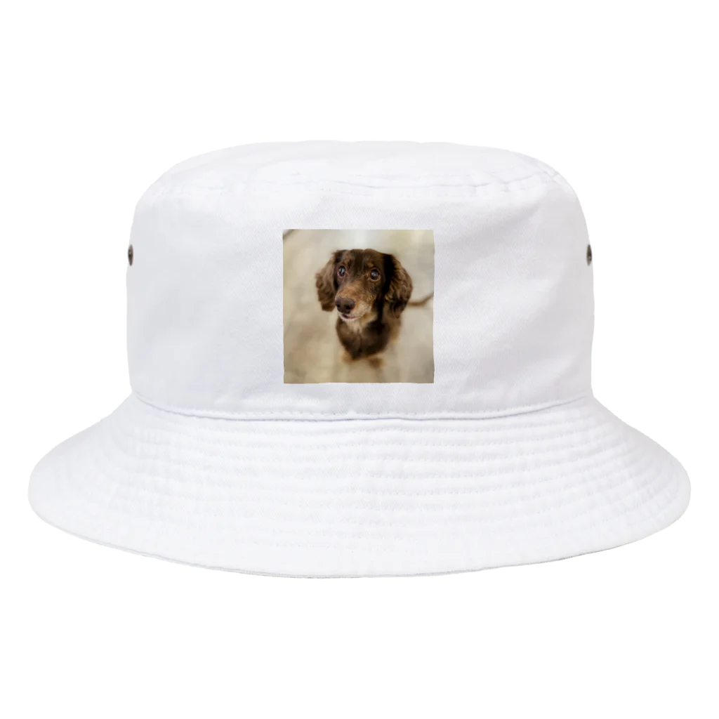マリアの愛犬マリア Bucket Hat