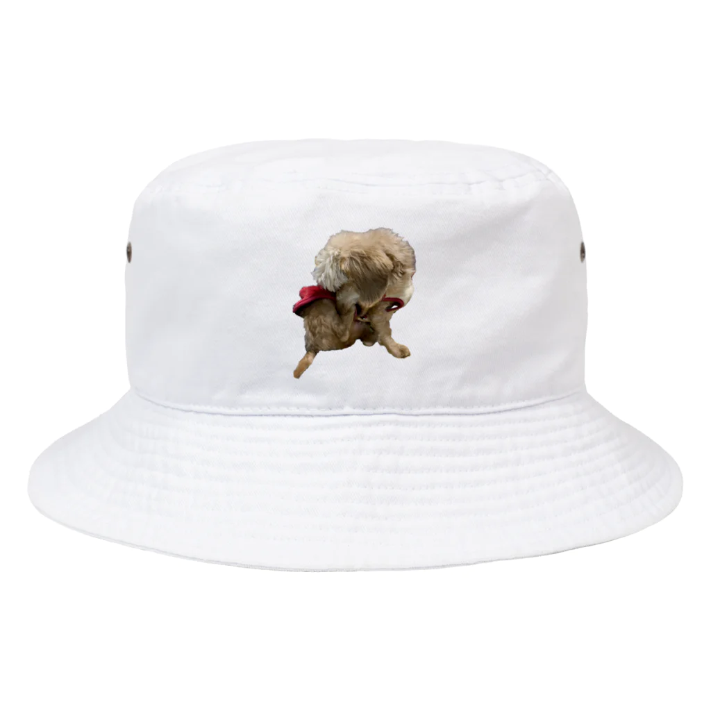 Ruice-Iceの犬　ガジガジ Bucket Hat