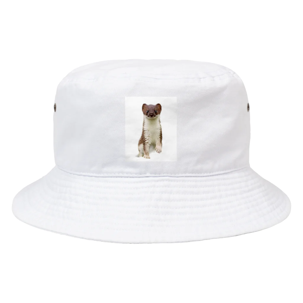 ケアンパグと愉快な仲間達のオコジョくん Bucket Hat