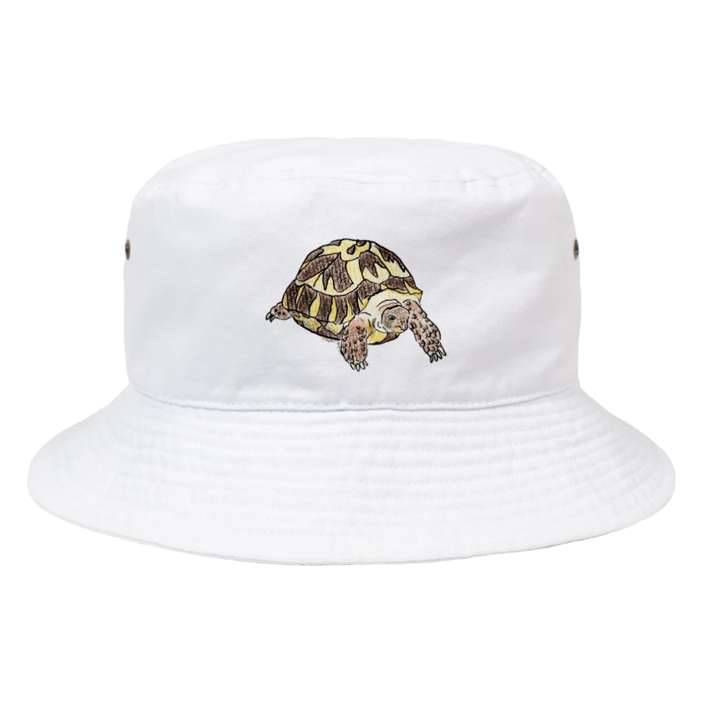 hitsuji_tsubu2のヨツユビリクガメの日向ちゃん Bucket Hat