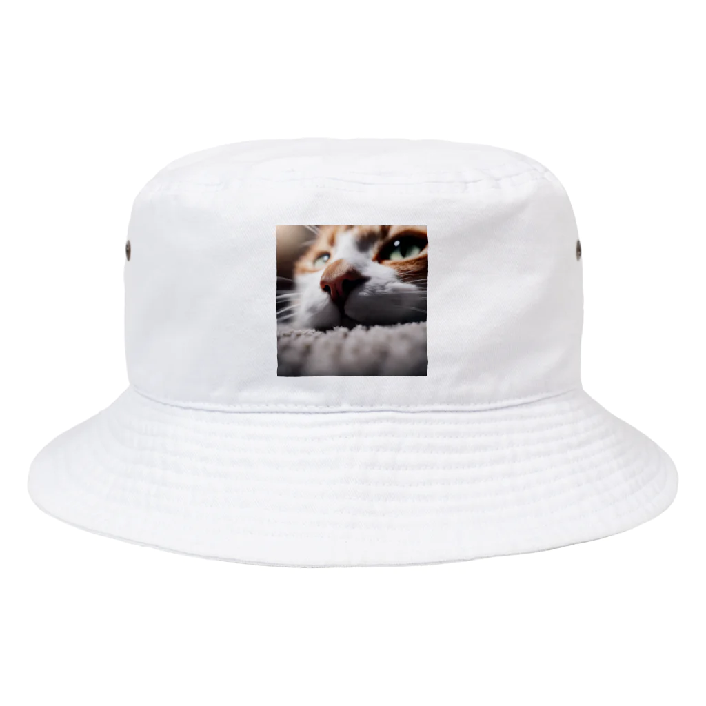 feliceのカーペットでごろんとする猫 Bucket Hat