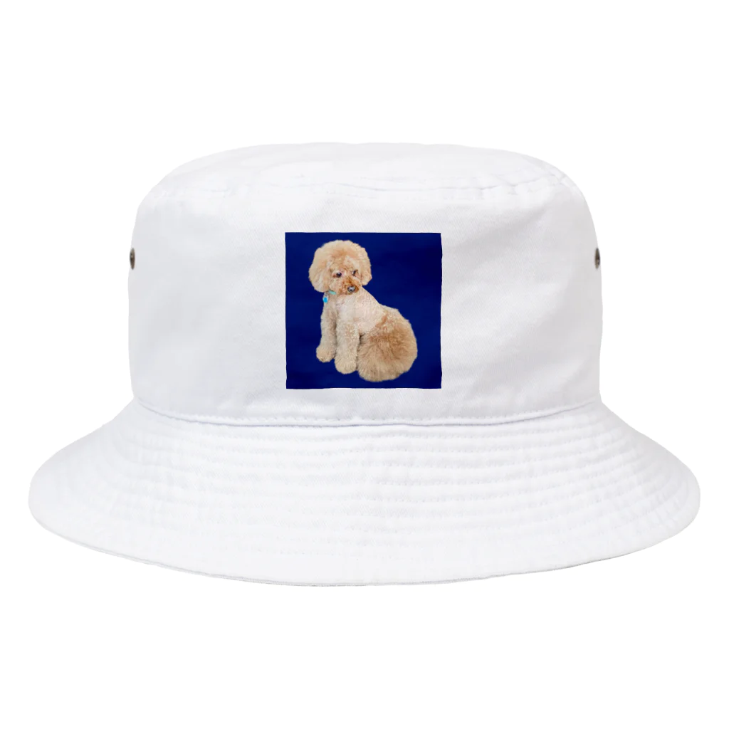 chiro2015のトイプードルのチロ君♂ Bucket Hat