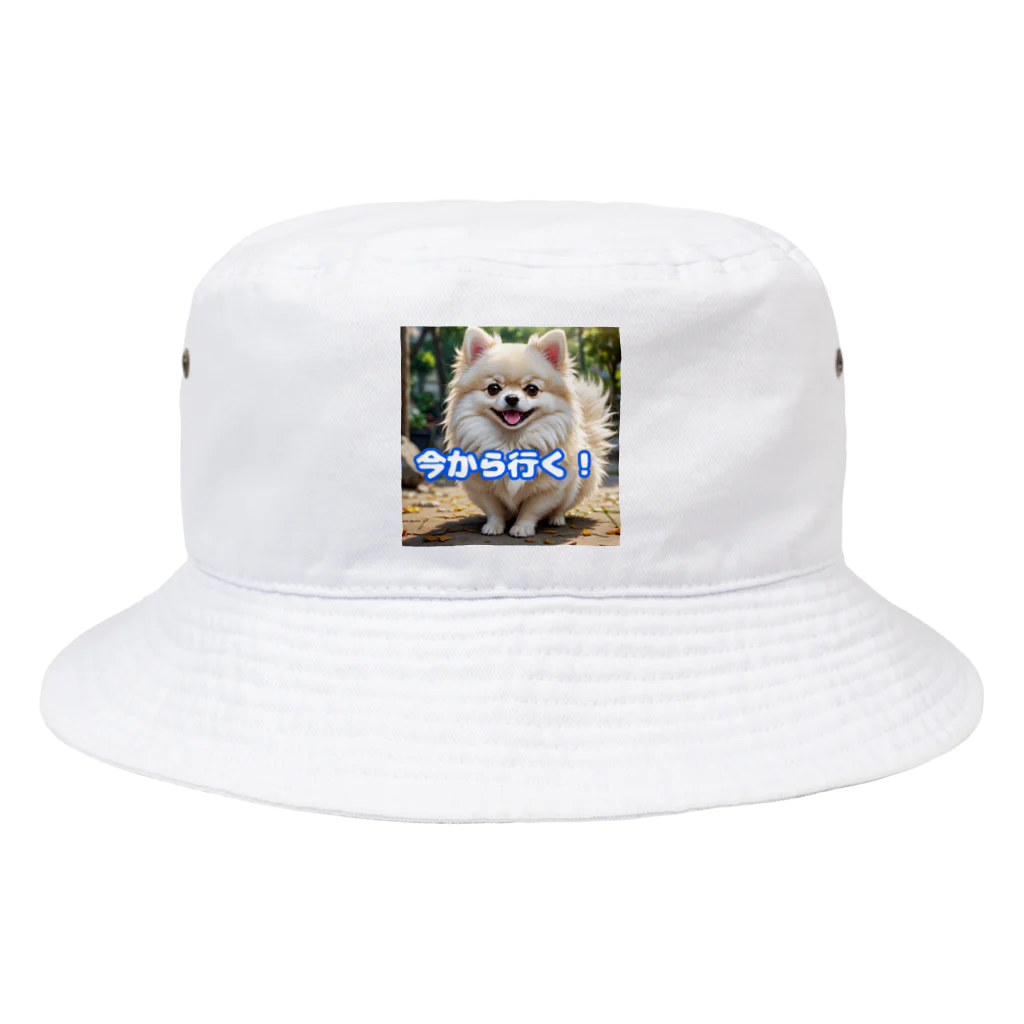 tagamiya7の今から行くポメチワ Bucket Hat