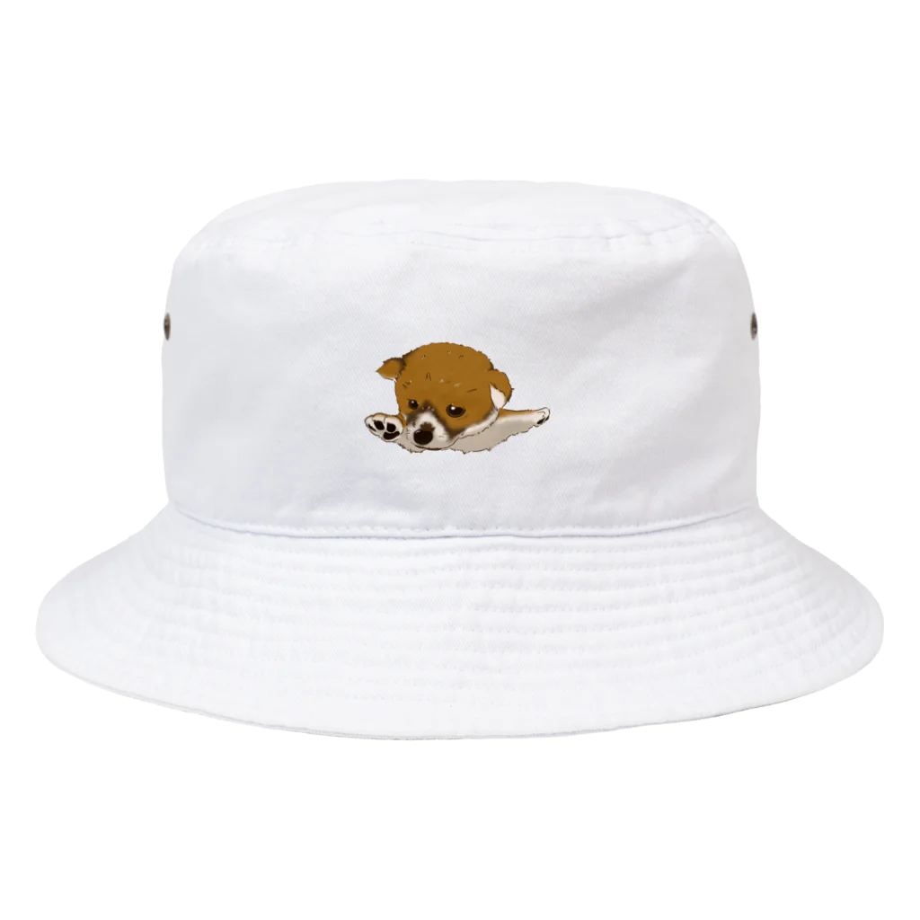 WANPU  by YUn.の飛行機ポーズ　柴　カラー版 Bucket Hat