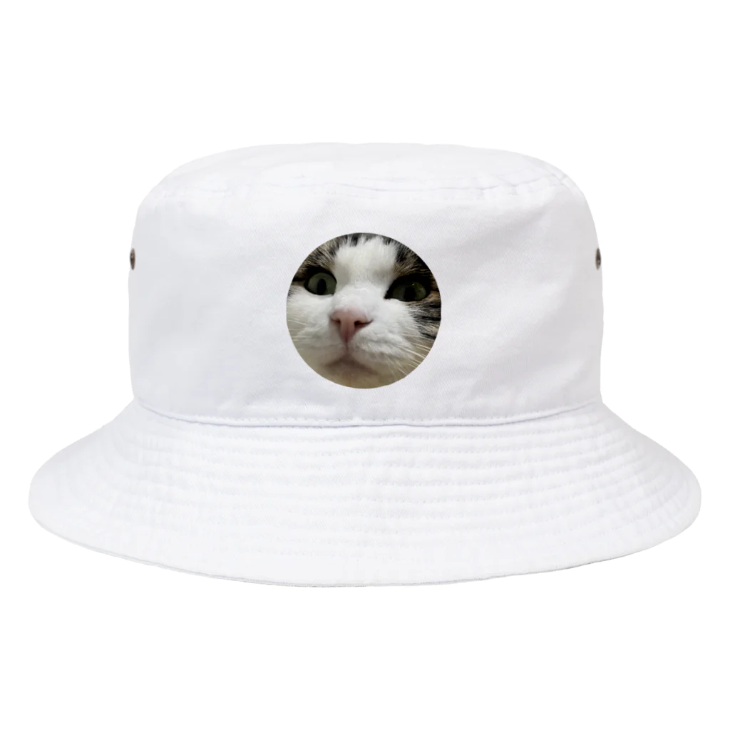 うちのにゃんず🐈のみーみーちゃんのメンチ Bucket Hat