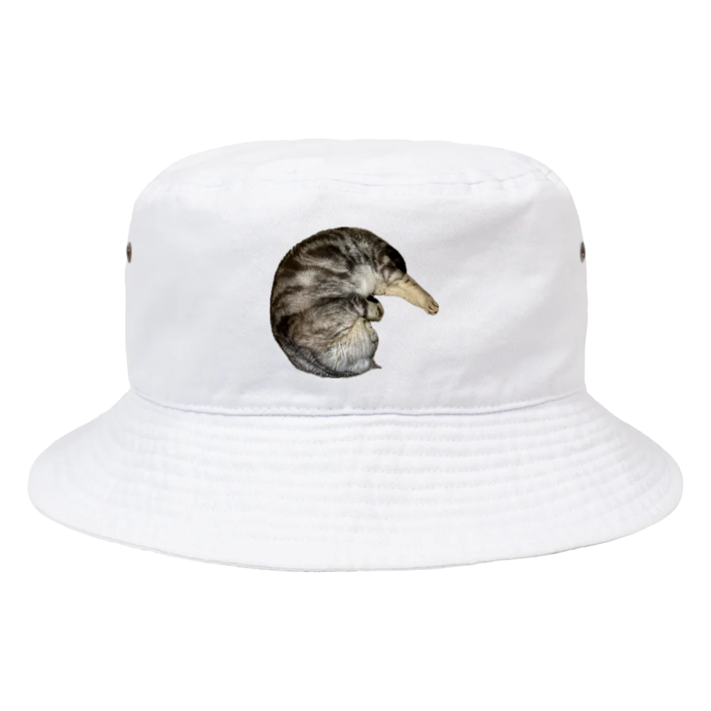 うちの猫ちゃんたちの茹でられたエビみたいなとらと Bucket Hat