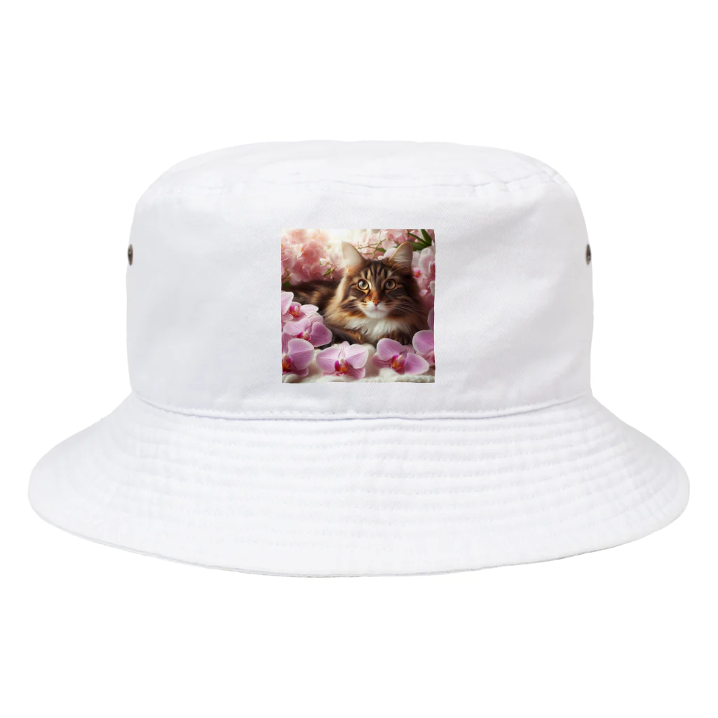 Y m @Y's shopの猫と胡蝶蘭 Bucket Hat