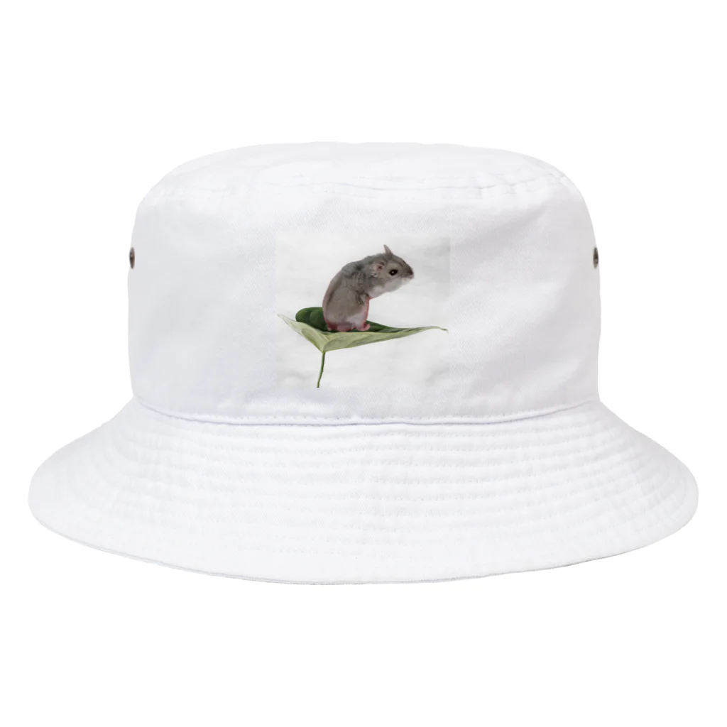 Potet & Luna lifeのPotet_life Bucket Hat