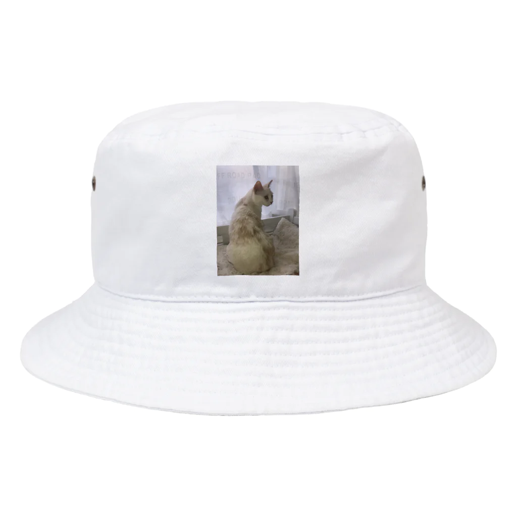 Mizuki・ASIA CATの後ろ美猫MILU🐾 Bucket Hat