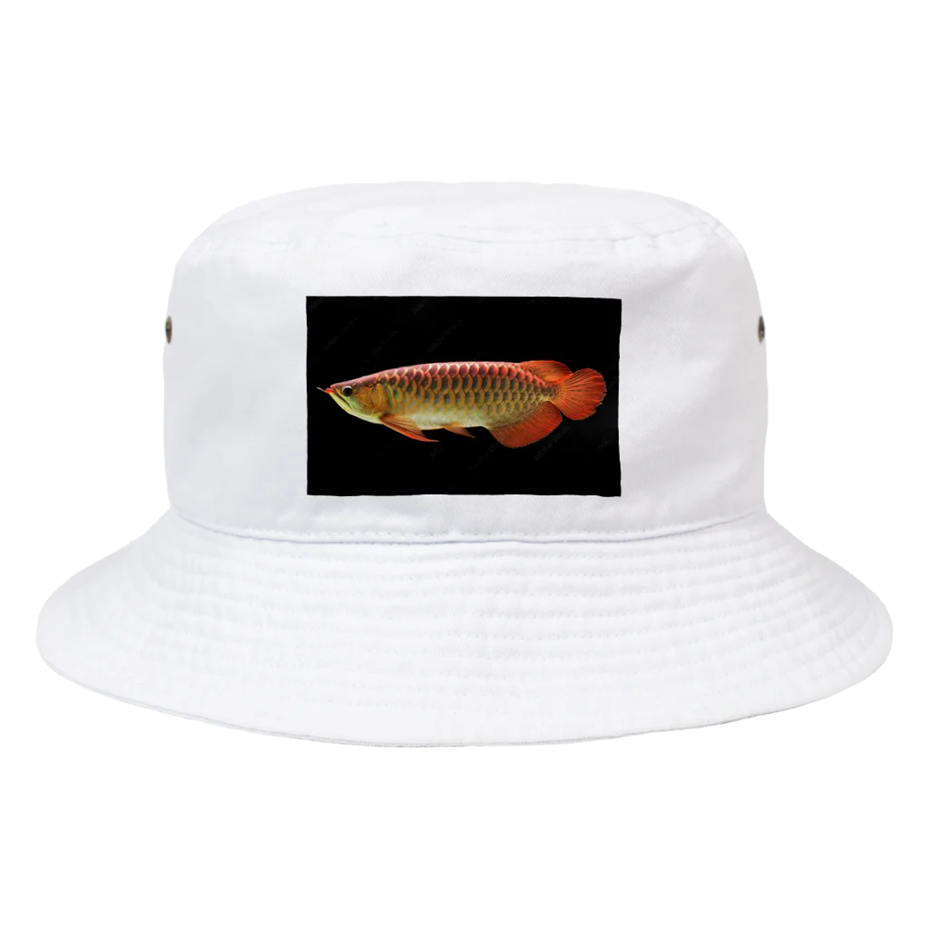 stockboxのアジアアロワナ グッズ Bucket Hat