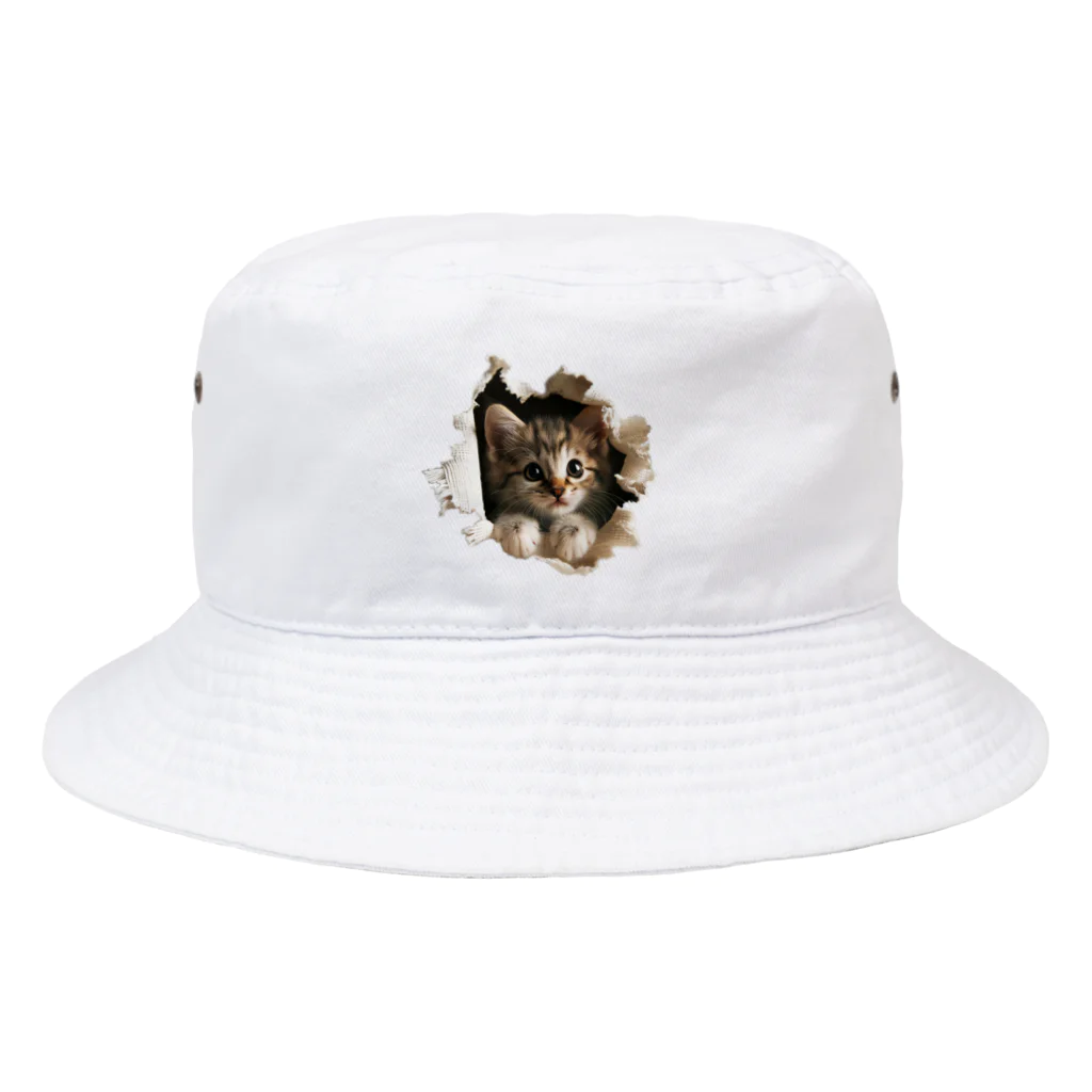 oniyanma64の子猫外を見る Bucket Hat