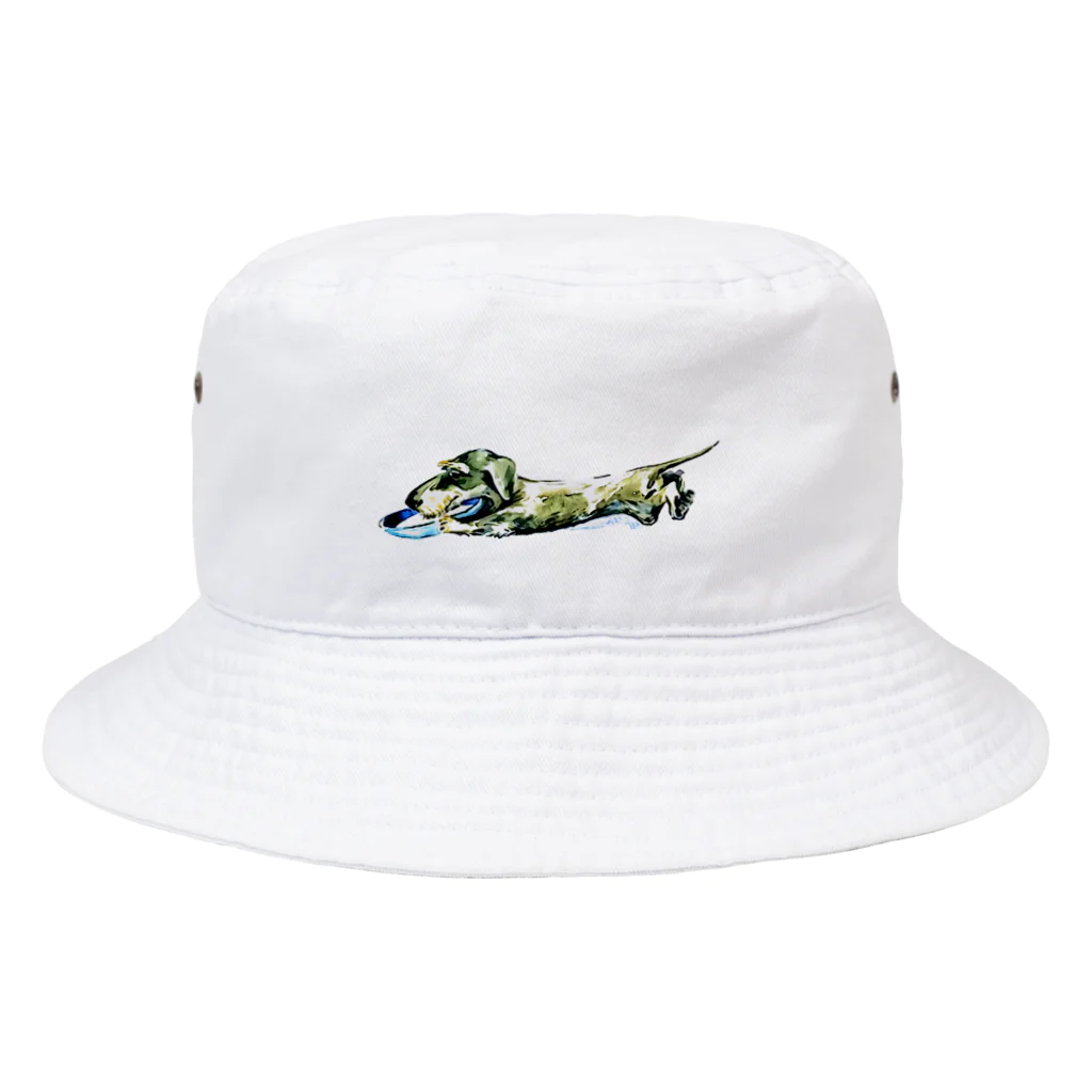 ドッグハウスベティの遊ぶワイヤーダックス Bucket Hat