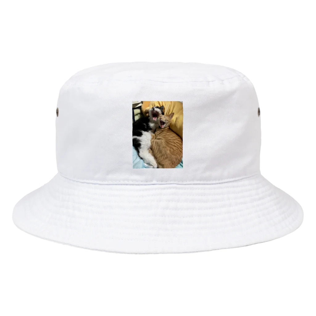 ayamomohidemiのキュートな猫猫あくび Bucket Hat