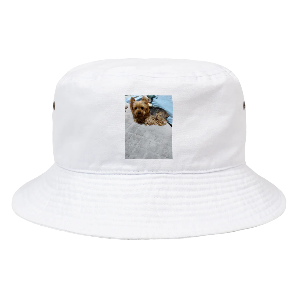 ベイビーちゃんのアレンくん Bucket Hat