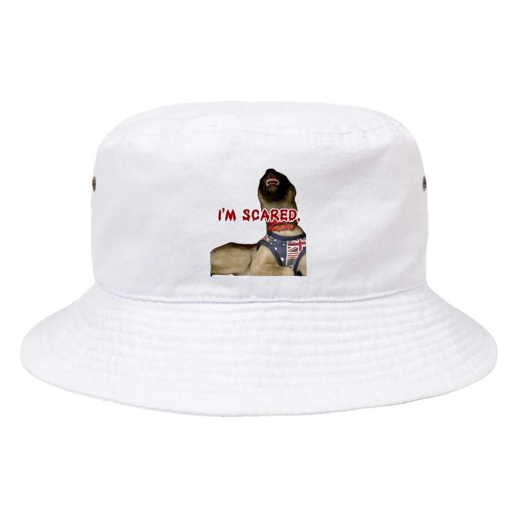 毛玉のおうちチャリティーグッズ販売suzuri部のI'M SCARED. Bucket Hat