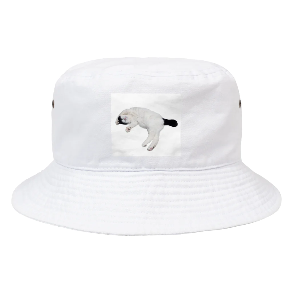 クリスタの尻尾が短い保護猫 たぬちゃん Bucket Hat