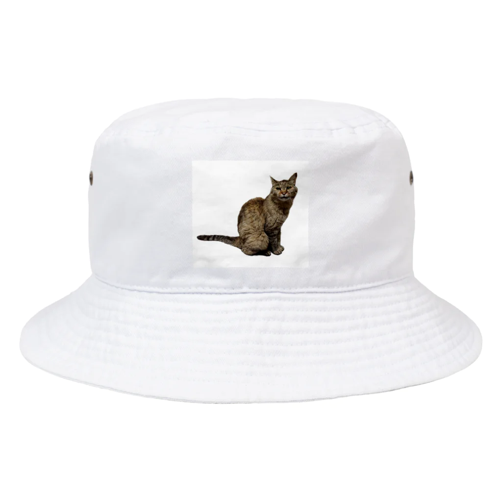 クリスタの保護猫 ポポちゃん Bucket Hat