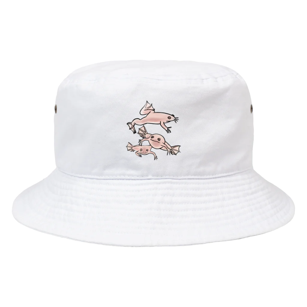 RURIBOSHI_ROCKの連なるアフリカツメガエル(アルビノ) Bucket Hat