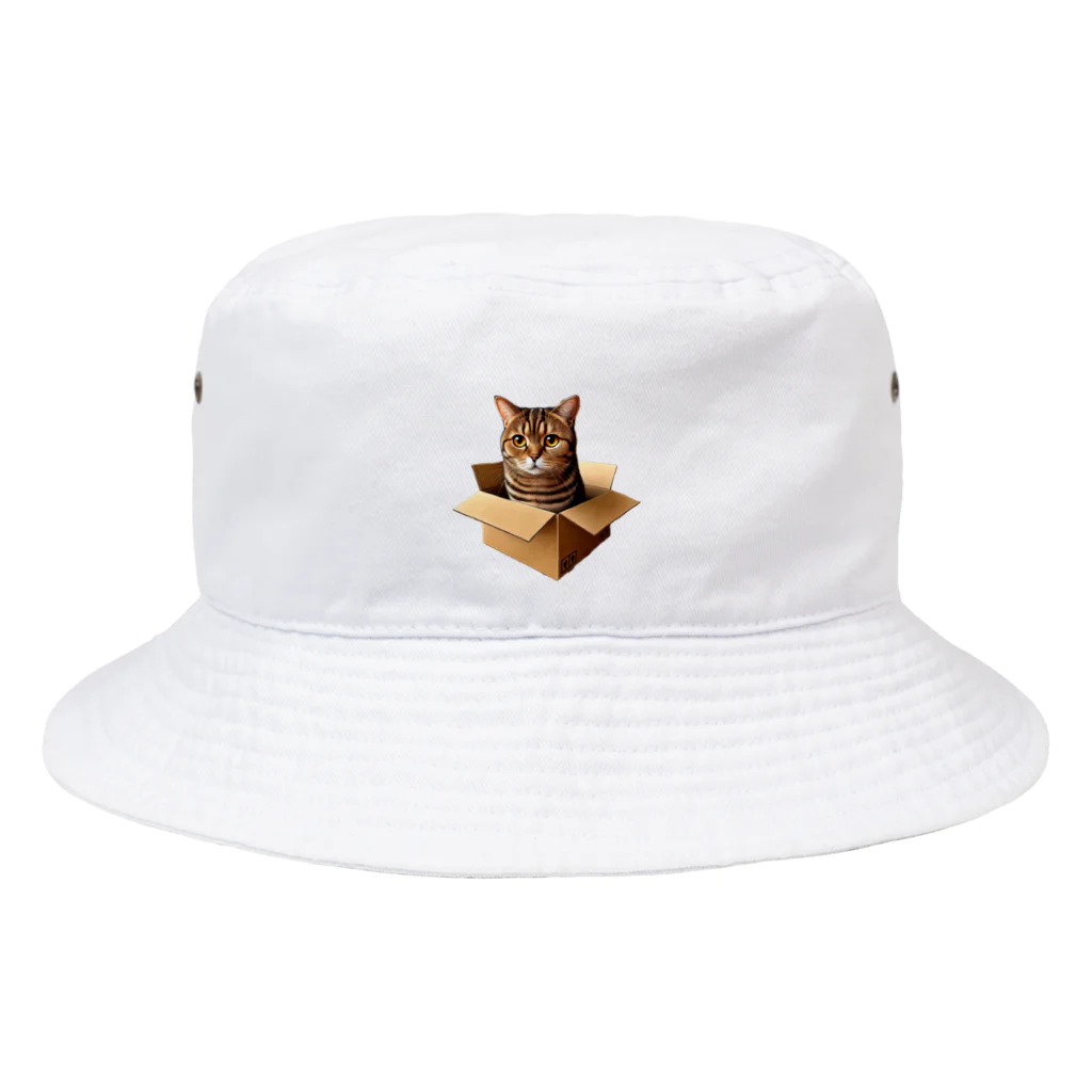 猫の小梅お嬢さんの小梅ちゃん　箱猫 Bucket Hat