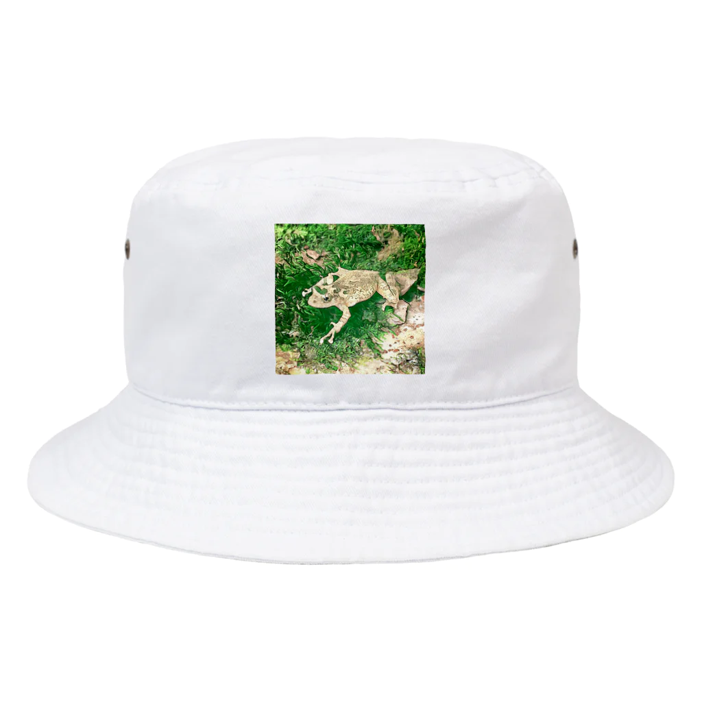 Fantastic FrogのFantastic Frog -Evergreen Version- Bucket Hat