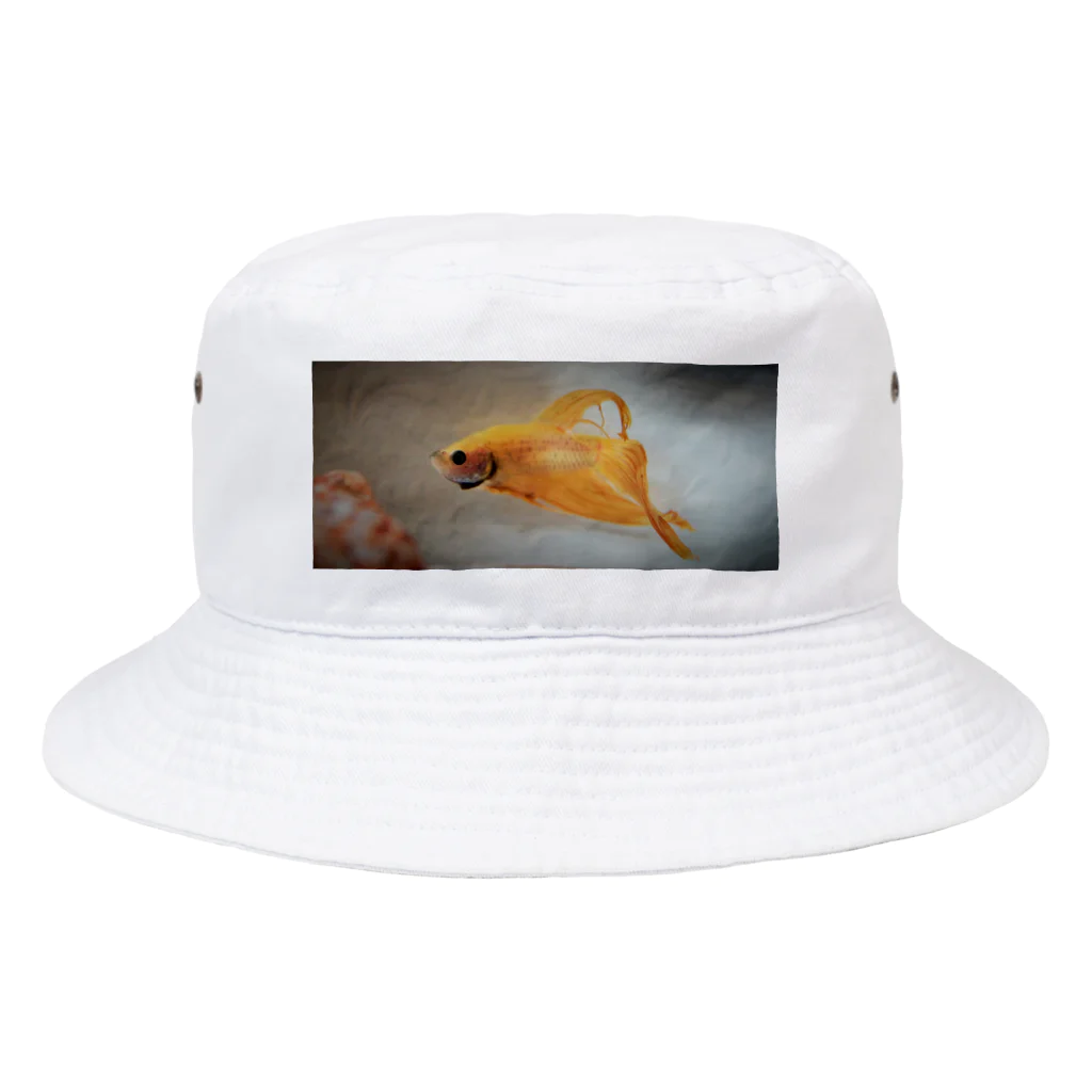 L'heure du thé ☕の Betta fish Bucket Hat