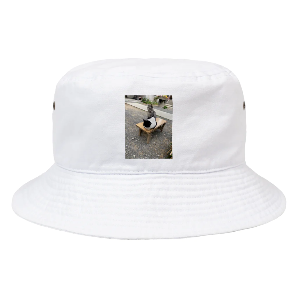 asasakasanの両国の猫たち Bucket Hat