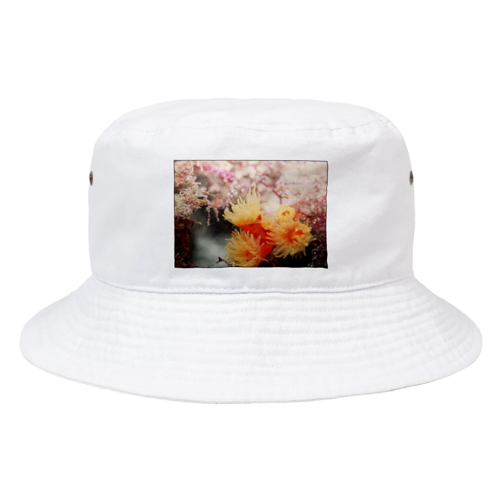 龍舞堂の海中写真 Bucket Hat