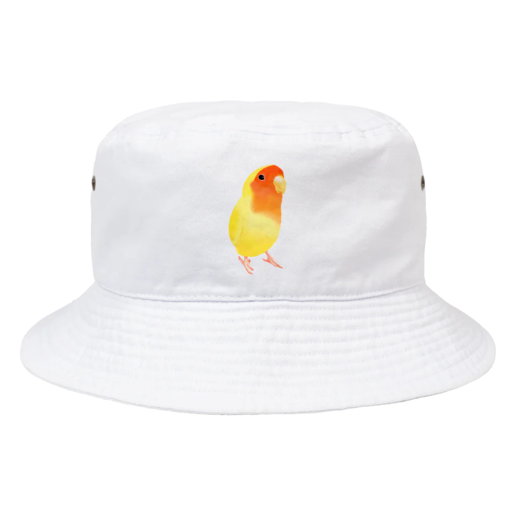 まめるりはことりのコザクラインコ　おすましルチノー【まめるりはことり】 Bucket Hat