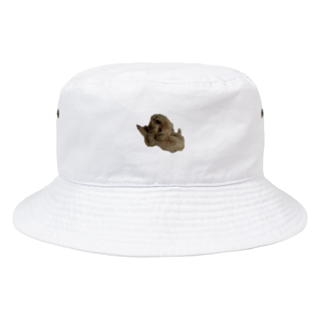 海老太郎のトイプードルのくぅちゃんです Bucket Hat