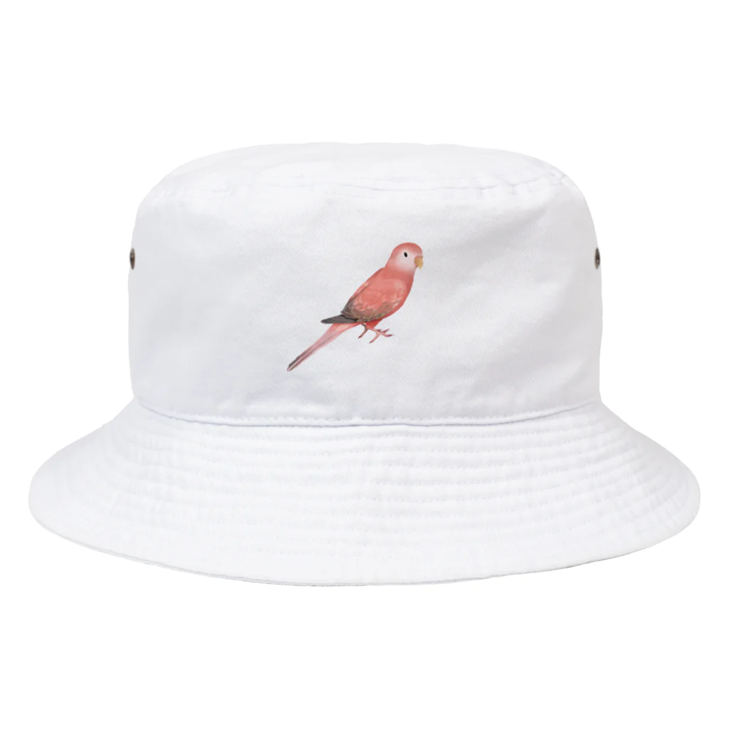 まめるりはことりのアキクサインコ　ピンク【まめるりはことり】 Bucket Hat