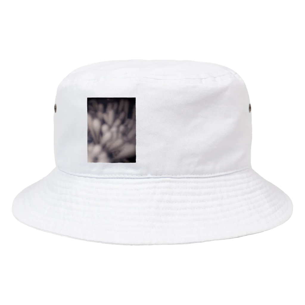 メントスコーラのペニス Bucket Hat