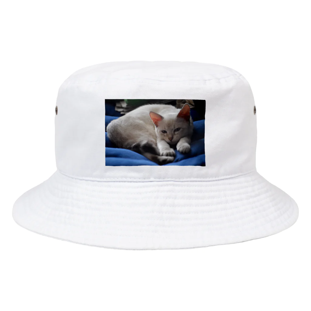 大福のだいちゃん Bucket Hat