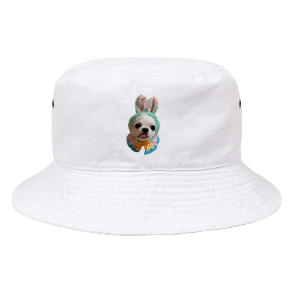 Pomeraniansの景虎くんのイースター Bucket Hat