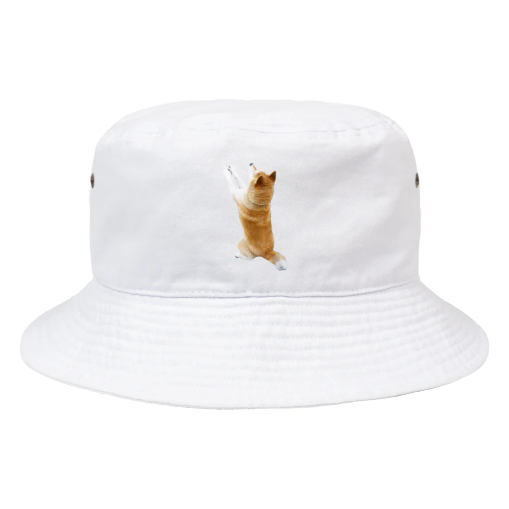 愛犬太郎のグッズのそこをなんとか！な太郎【柴犬】 Bucket Hat