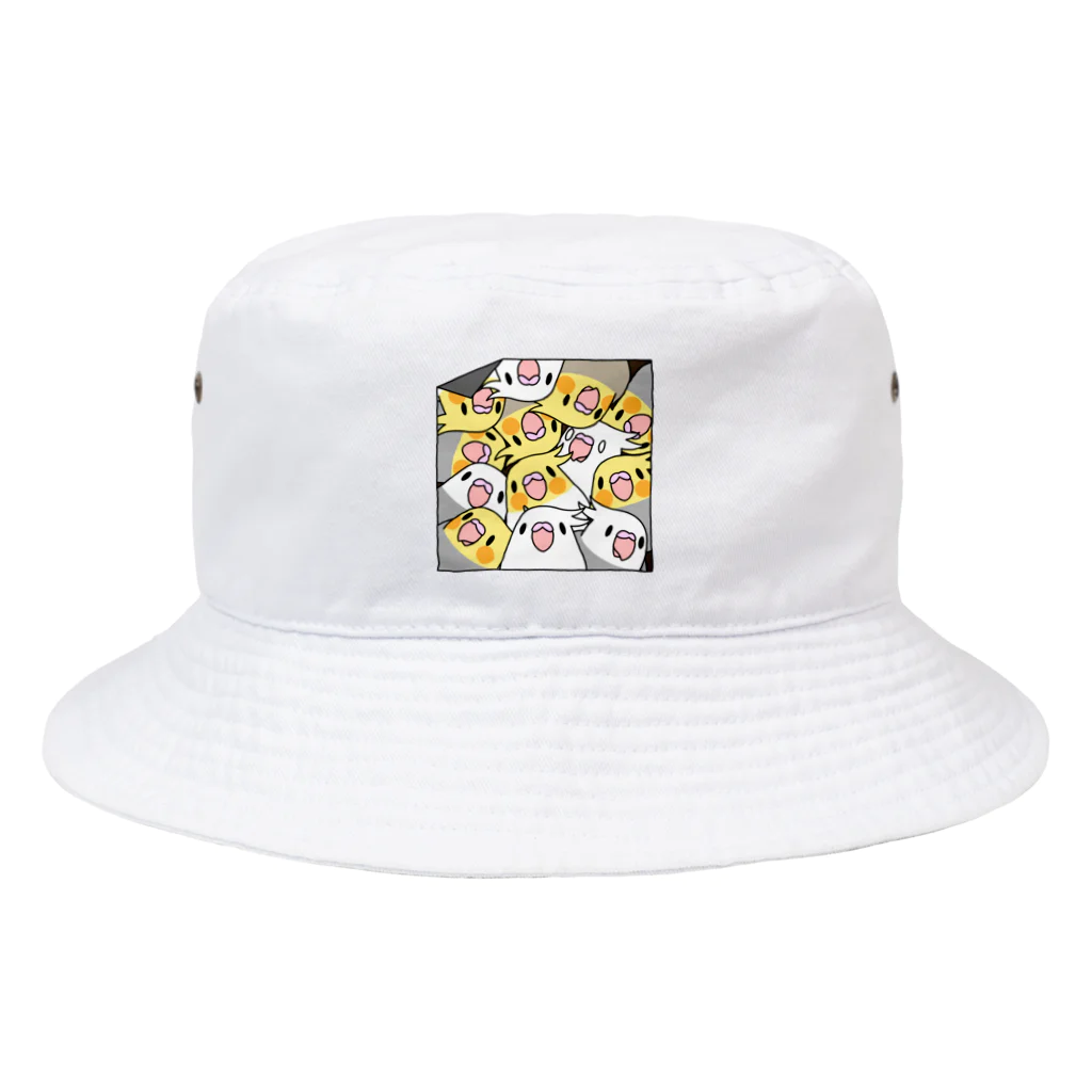 まめるりはことりの三密です！むちむちオカメインコさん【まめるりはことり】 Bucket Hat