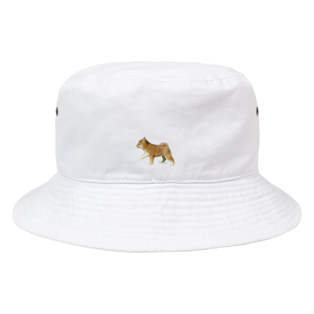 KANTAROの柴犬 かんたろうミニ Bucket Hat