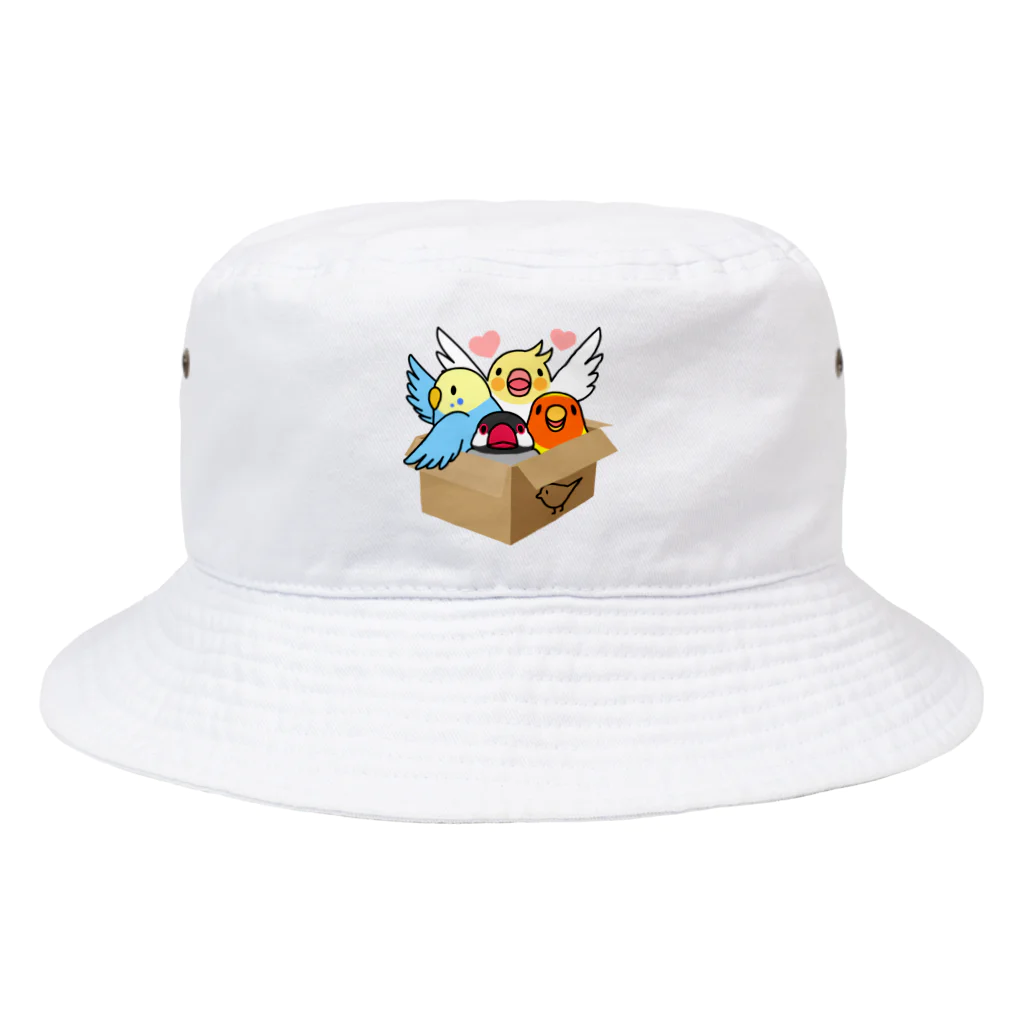 まめるりはことりの拾ってくださいインコ【まめるりはことり】 Bucket Hat