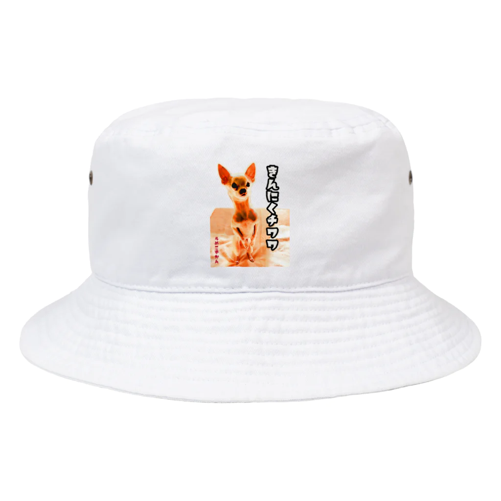 うめこずかんの筋肉チワワスケルトン Bucket Hat