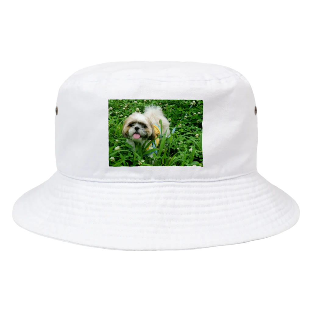 こがちゃんの草原のレオくん Bucket Hat