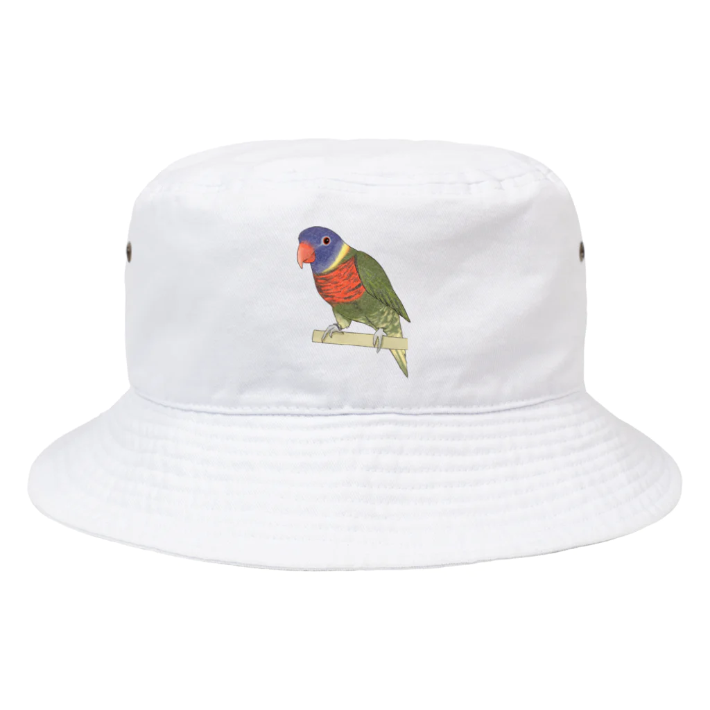 まめるりはことりの色合いが綺麗なゴシキセイガイインコちゃん【まめるりはことり】 Bucket Hat