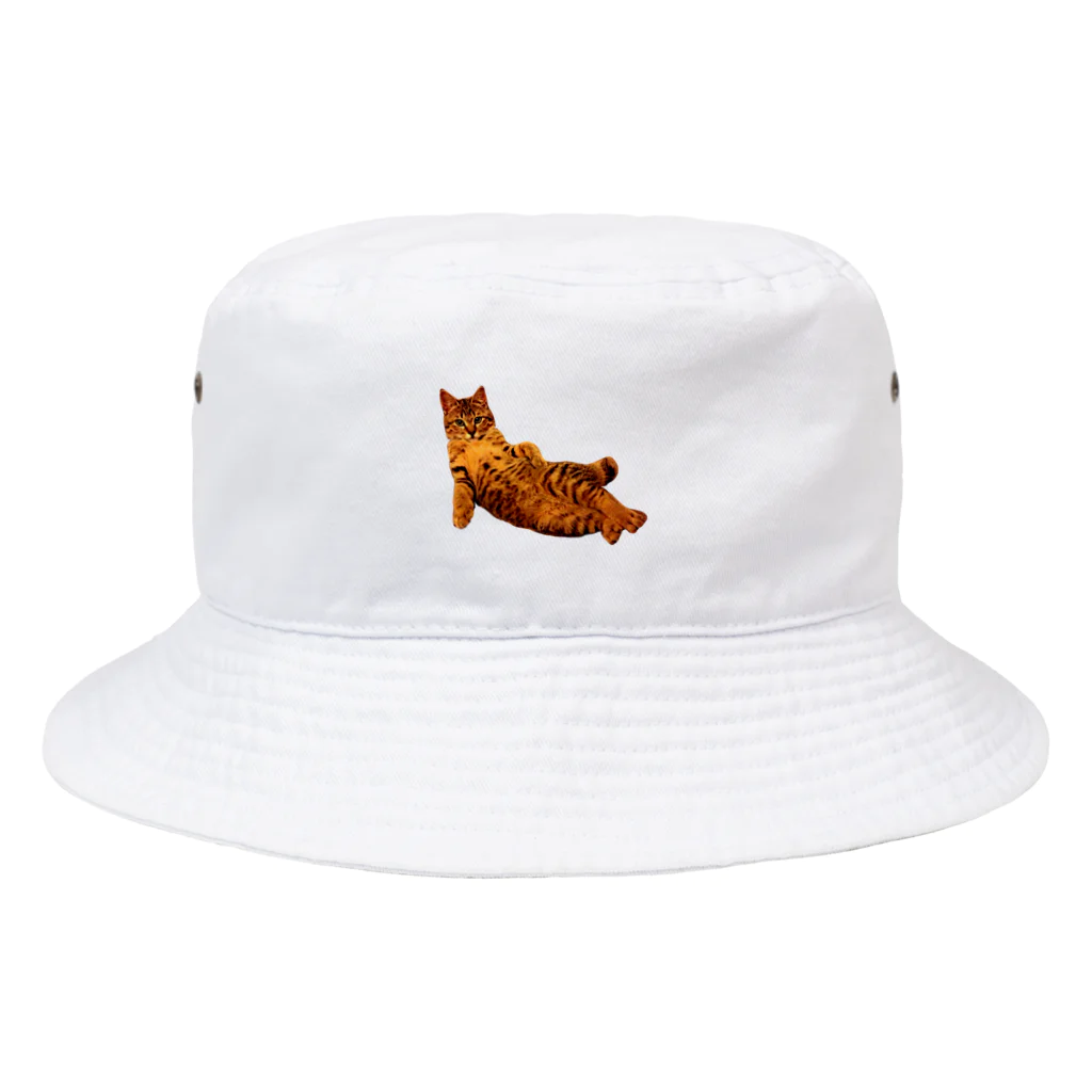 Elegant CatのElegant Cat ② Bucket Hat