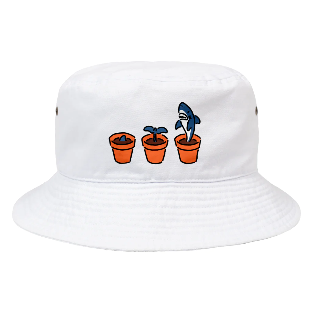 サメ わりとおもいのサメの育て方 Bucket Hat