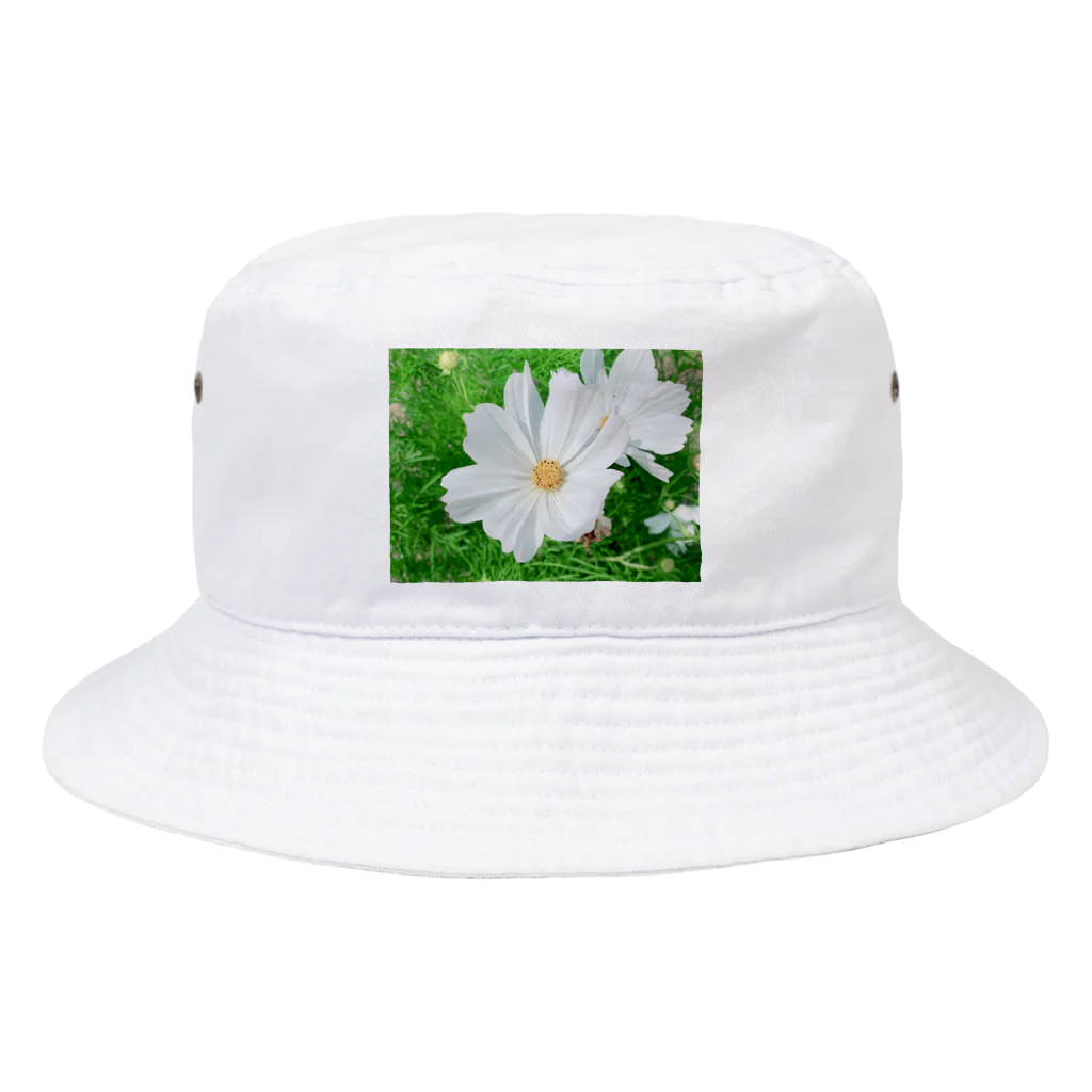 CatcatのCosmos Bucket Hat