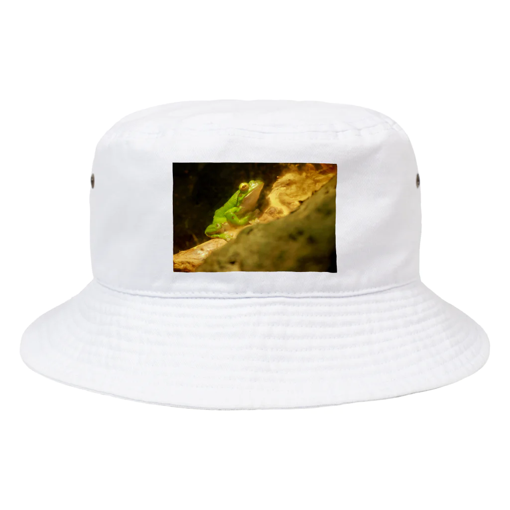 Catcatのカエルくん Bucket Hat