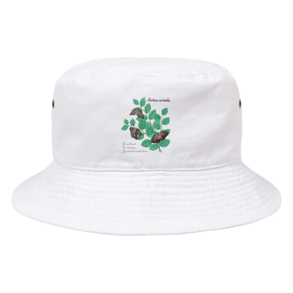 kitaooji shop SUZURI店のアカボシゴマダラとエノキ Bucket Hat