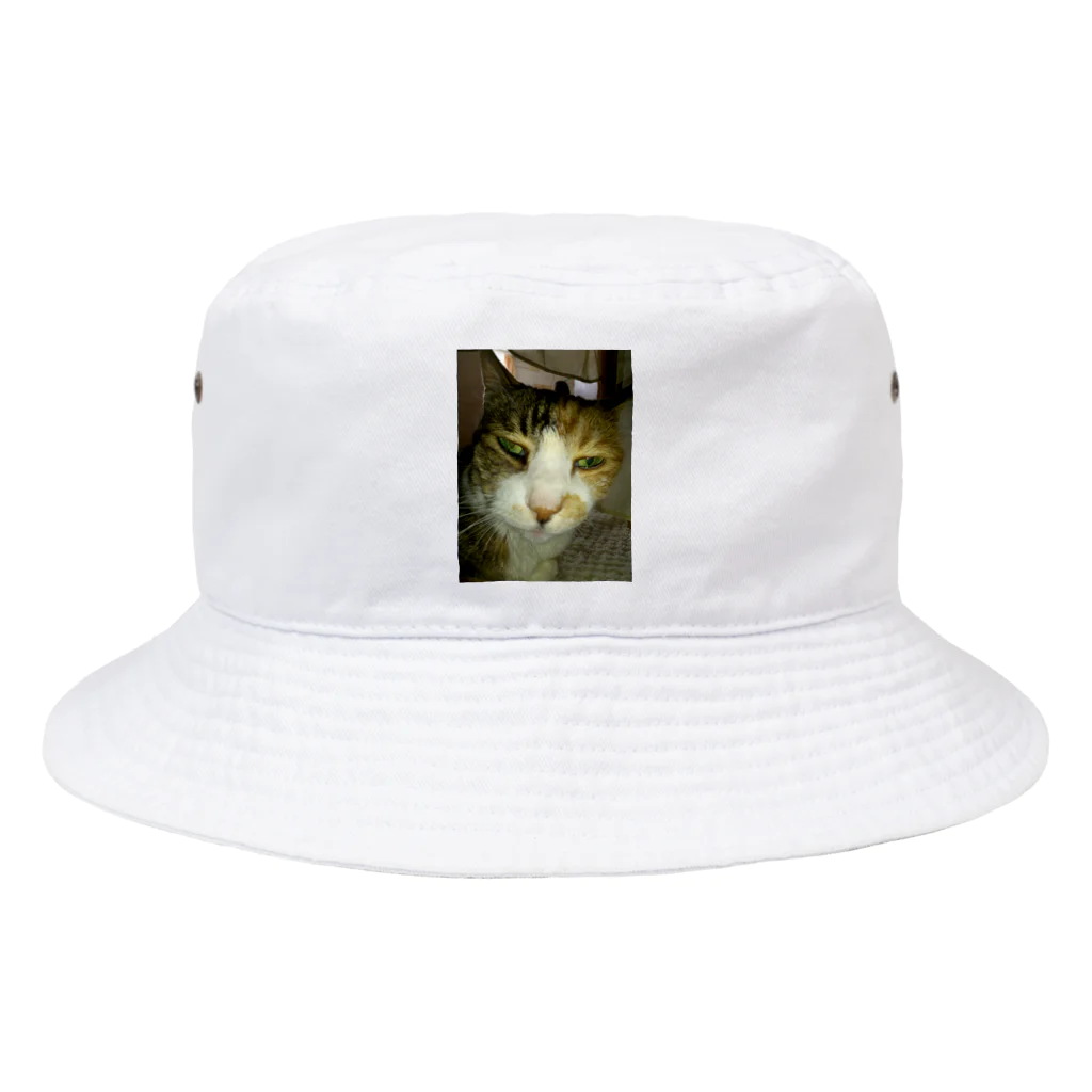 powpowの寝ぼけ猫 Bucket Hat