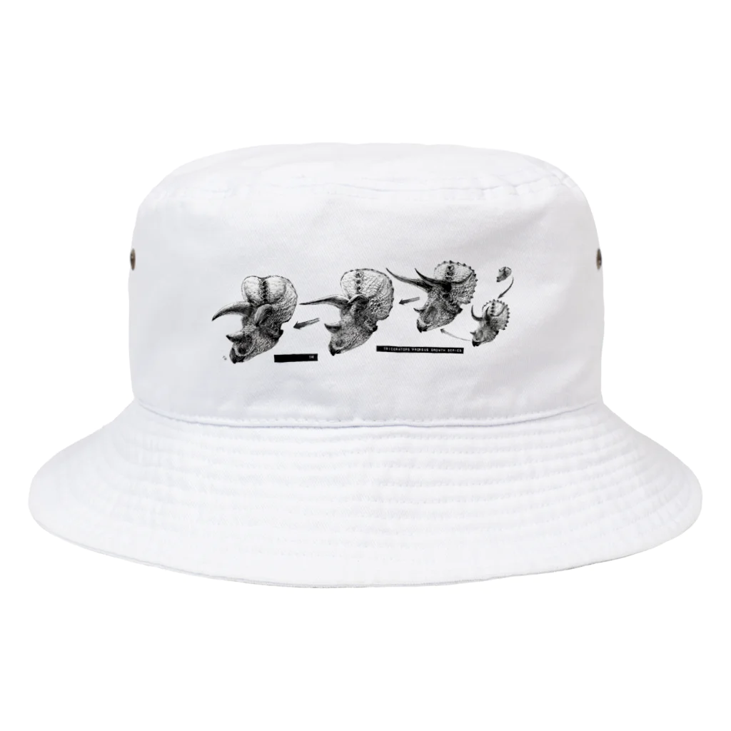 segasworksのTriceratops prorsus growth series Bucket Hat