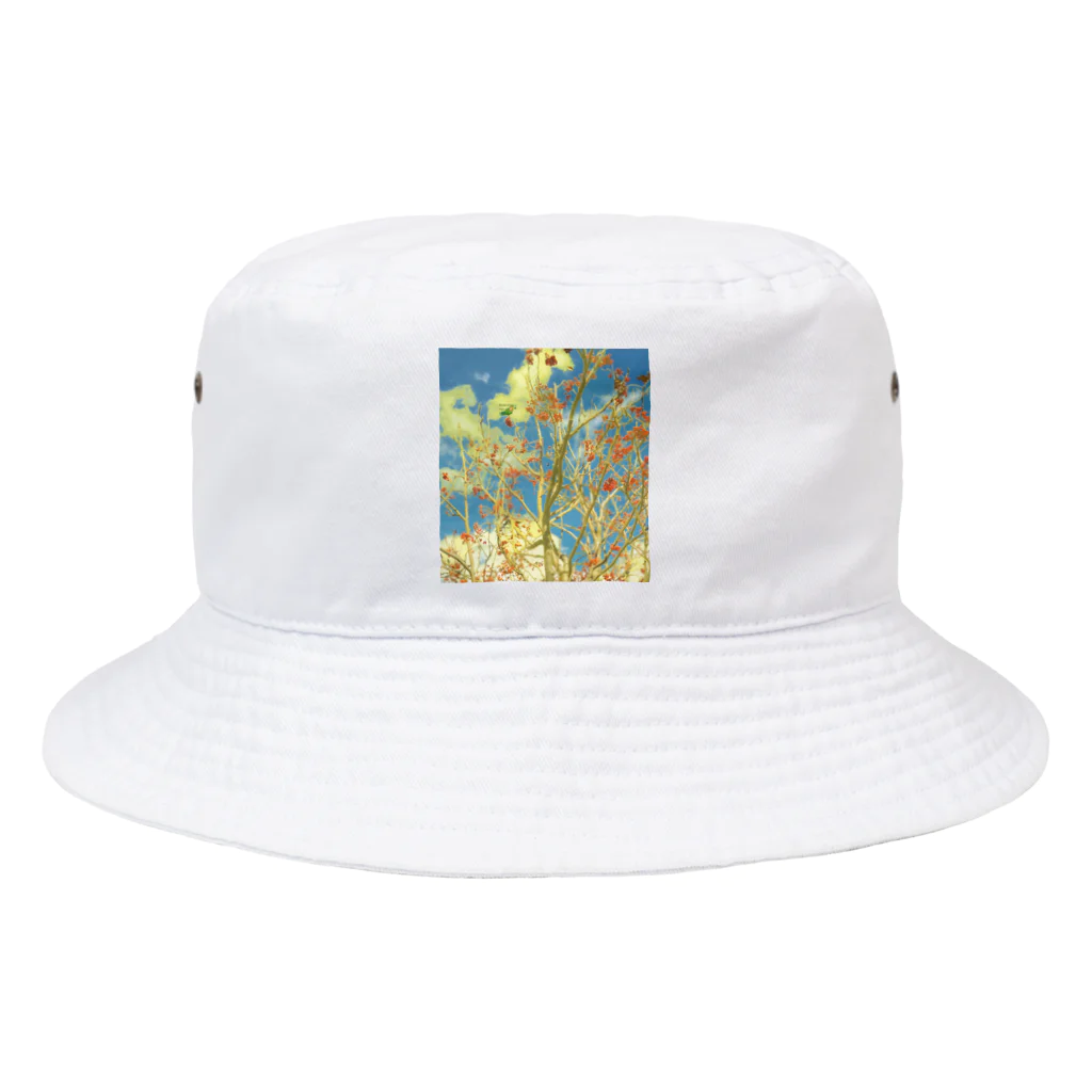 はっぴーあっぴーの秋空と鳥 Bucket Hat