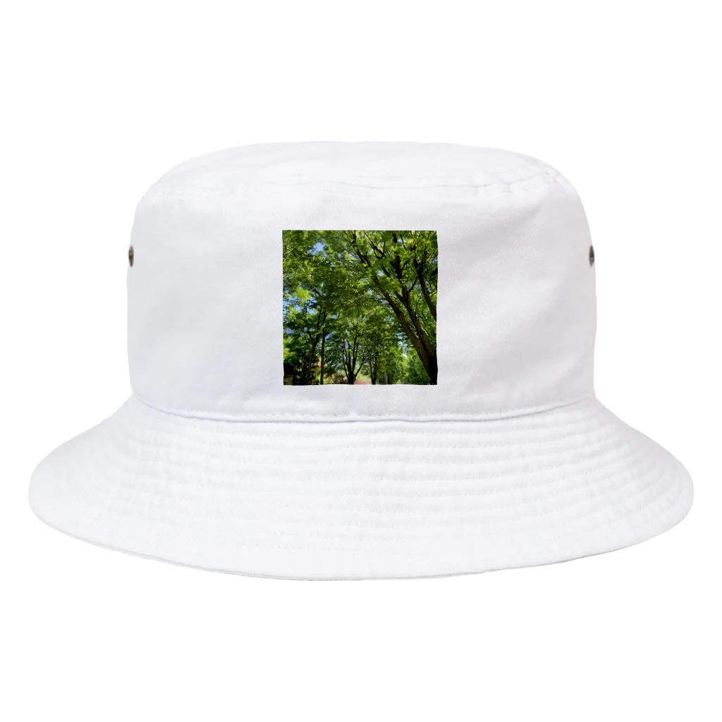 hi_kunの散歩中に見た自然的な風景 Bucket Hat