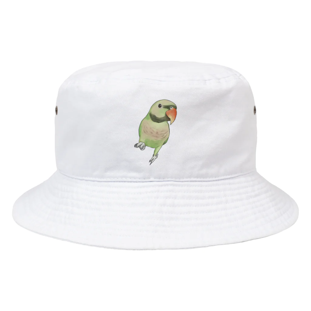 まめるりはことりのご機嫌なダルマインコちゃん【まめるりはことり】 Bucket Hat